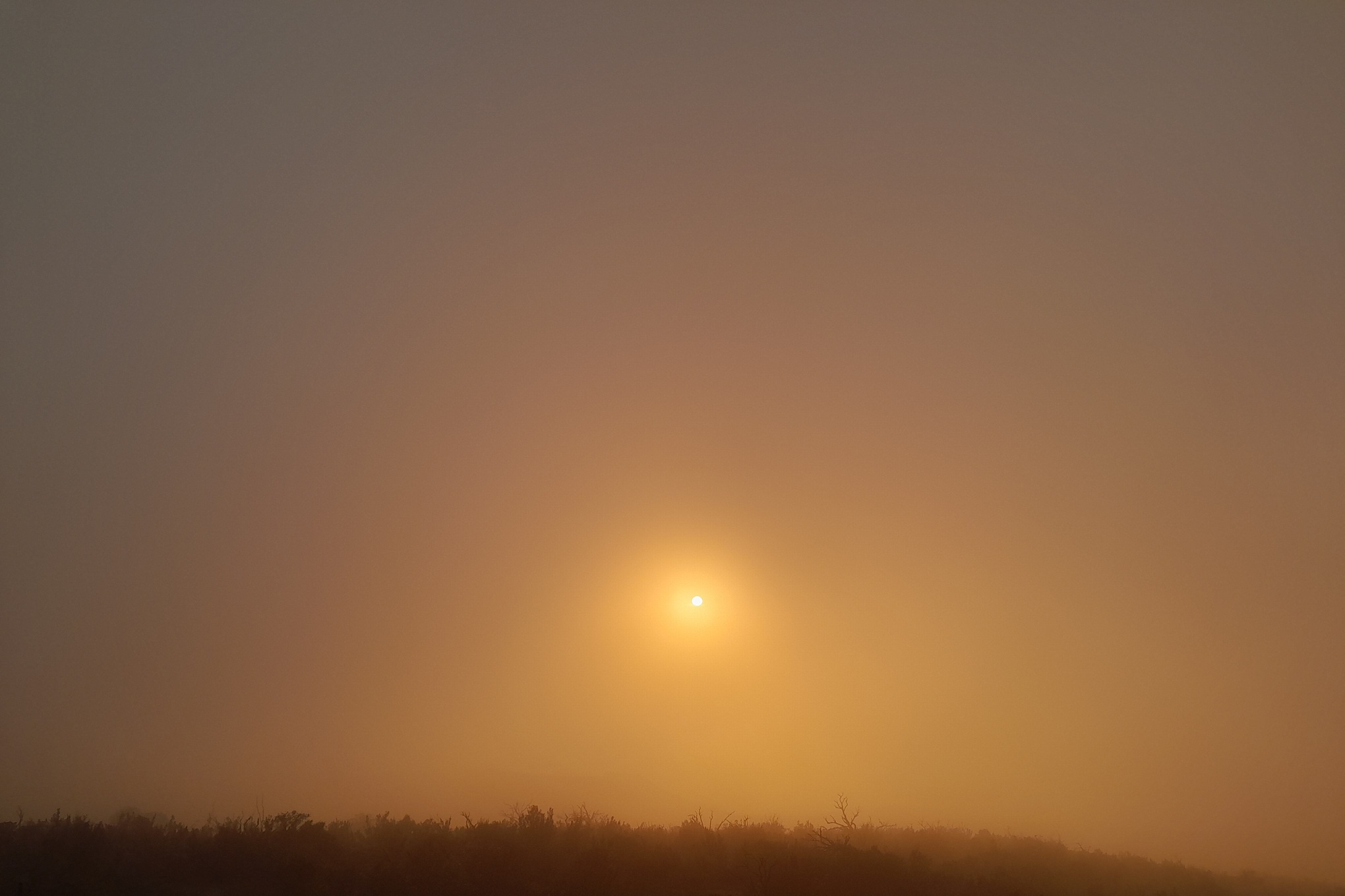 coucher de soleil en plein brouillard à La Réunion, avec un soleil intense preçant un brouillard opaque